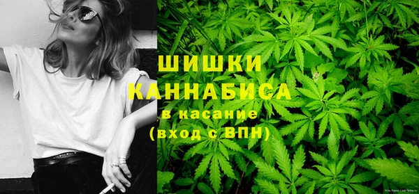 ГАЛЛЮЦИНОГЕННЫЕ ГРИБЫ Арсеньев