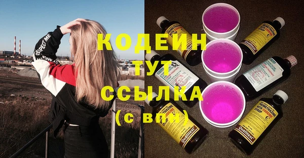 ГАЛЛЮЦИНОГЕННЫЕ ГРИБЫ Арсеньев