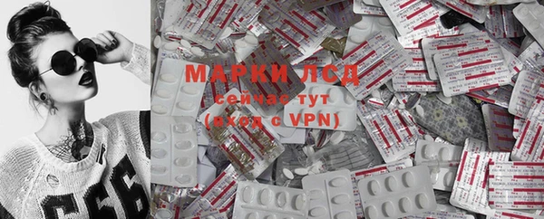 ГАЛЛЮЦИНОГЕННЫЕ ГРИБЫ Арсеньев