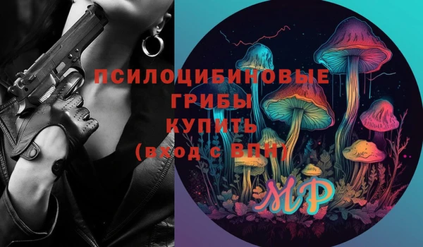 apvp Армянск