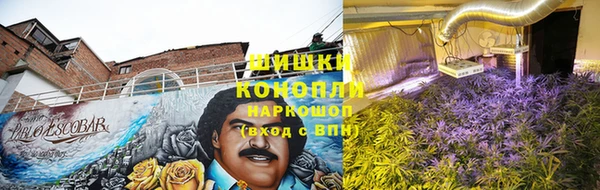 соль ск Аркадак