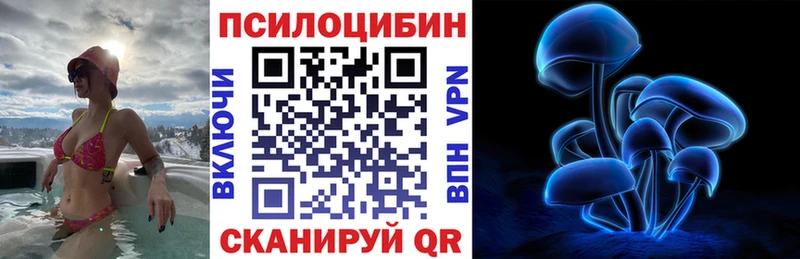 Купить где  Тетюши  Псилоцибиновые грибы Cubensis 